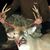 Dave Hinkle's profile image