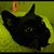 Jade Weidemann's profile image