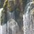 Randy Wolle's profile image