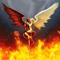 Misty Fitzpatrick's profile image