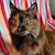Linda Mohr's profile image