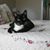 Paula Goff's profile image