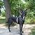 Delores Johnston Harris's profile image
