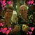 Cheryl DeRosier Fullerton's profile image