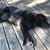 Bob N Lori Paden's profile image
