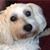 Michael Lawson's profile image