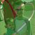 Sarah Tompkins's profile image