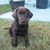 Kay Bailey's profile image