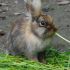 Lesia B.'s profile image