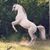 Sharon Hansen Potter's profile image