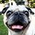 Sally Seeley's profile image