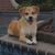 Theressa Riggs's profile image