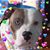 Susan V Moyer's profile image