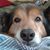 Stacey Maddox's profile image