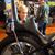 Sarah Jane Scherer's profile image