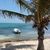 Jonathan Castillo's profile image