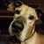 Rebecca Porras's profile image