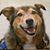 Eydie Shoptaugh Mellin's profile image
