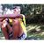 Daniel Patrik's profile image