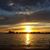 Andrea Shreve Wood's profile image