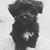 Jimena Costanza Holguin's profile image