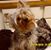 Terre Blevins's profile image