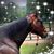 Deanne Michelle Jewell's profile image