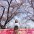 Jimin Chung's profile image