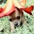 Nikki Hotchkiss's profile image