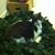 Sherron Varela's profile image