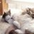Nancy Schettner's profile image