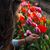 Hazel Therese's profile image