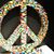 Annie Seitter's profile image