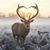 Dawn Harvey's profile image