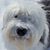 Kathryn Stutz Murray's profile image
