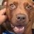 Bobby Dawson's profile image