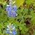 Mary Bivin Marks's profile image