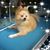 Bruce Robert's profile image