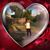 Abrea King's profile image