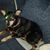 Curt Connie Penny-Wright's profile image