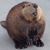 Sonia Gonzalez Burch's profile image