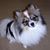 Susan Jackson Snyder's profile image