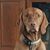 Judy Gershkowitz's profile image