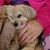 Mandy Fowler's profile image