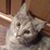 Deborah Dean Croce's profile image