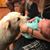 Tamara Dorris's profile image