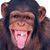 Cody Osting's profile image