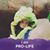 Rita Casteel Danielson's profile image