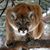 Joanne Villapando's profile image