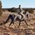 Amanda Artrup Hafner's profile image